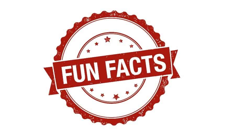 Food Service Fun Facts